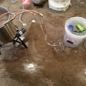 Wort chillin