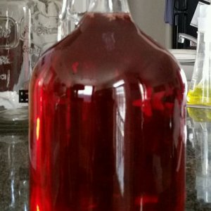 Clearing Raspberry mead
