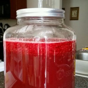 Raspberry mead v2