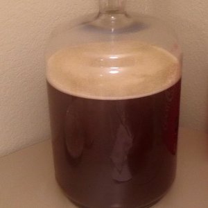 Honey Brown Ale Carboy with Yeast