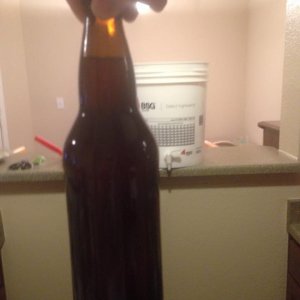 Honey Brown Ale Bottled