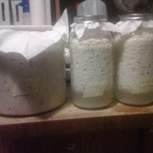 continuous batching...... failure