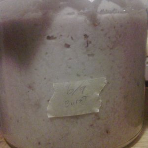 continuous batching...... failure