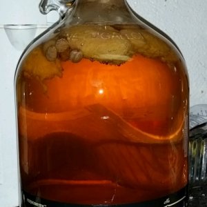 JAOM after 5 months clear
