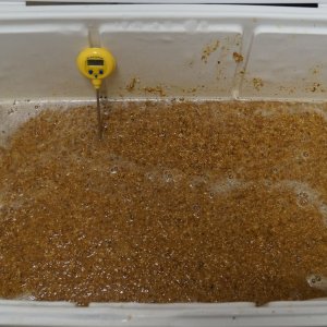 Spiced Cherry Dubbel - Mash