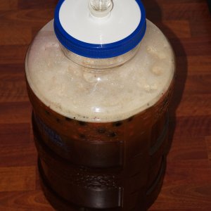 Spiced Cherry Dubbel - Fermenting