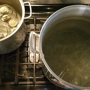 getting bottles ready for yeast washing