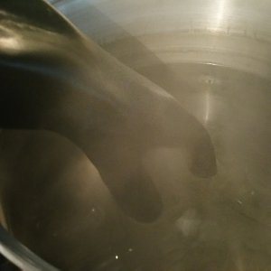 getting bottles ready for yeast washing