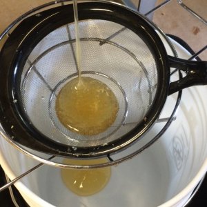 Harvesting Honey