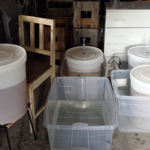 Fermenting lager beer in bins