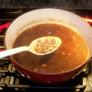 Beef and barley soup