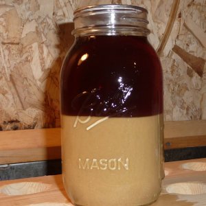 WY 1056 yeast harvest