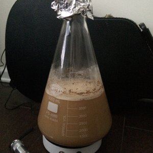 48 Hours Later
