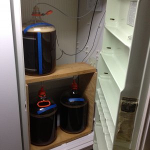 Upright Freezer/Fermenter