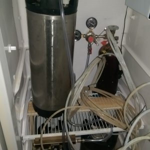 Inside kegerator