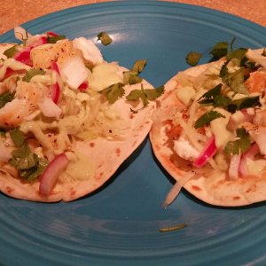 AZ IPA Fish Tacos