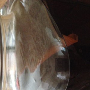 first kombucha