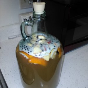 Melomel in the Primary