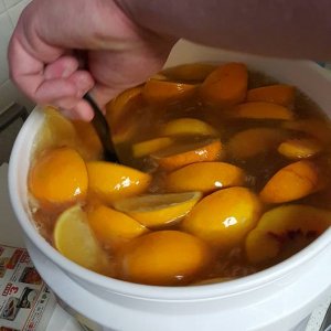 Orange/Peach Melomel