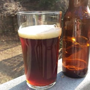 American Amber