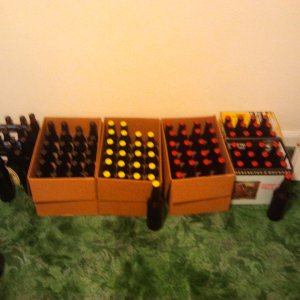 bottle drying and bottled beer