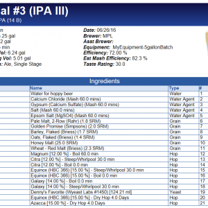 NE IPA