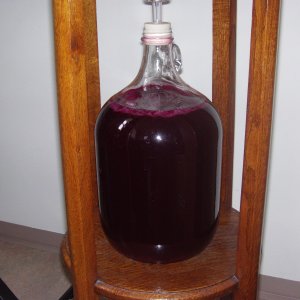 Blueberry wine project