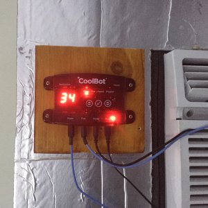 Cool and steady