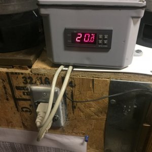 Temp Controler For Fermenation Fridge