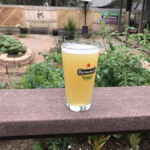 6-18-Hefeweizen