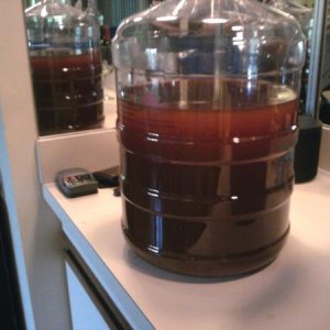90 minute ipa clone secondary