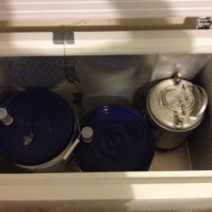 image 3720800290