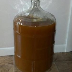 American Wheat 6-11-12