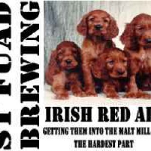 stfuadirishred