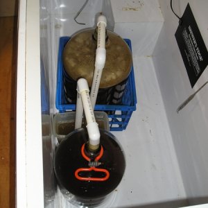 After40minswehaveveryactivefermentation