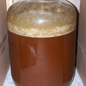FirstBrew