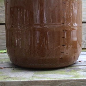 carboysediment