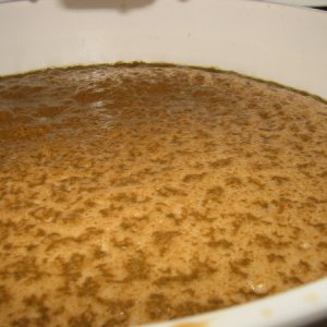 KrausenStarting