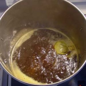 Boilingwort