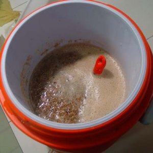 minimash