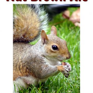 NutBrownB3Kit