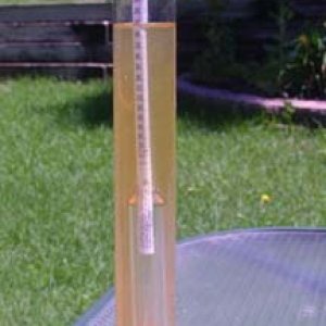 AGStarterwortinflask