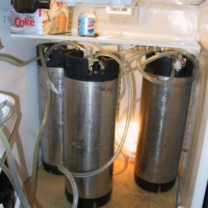 ServingFridgeInside