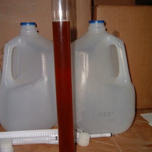 HausBrauenAmberAleHomeBrew