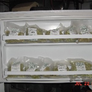 hops