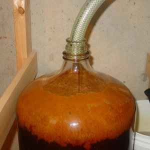 PumpkinAleKraeusen