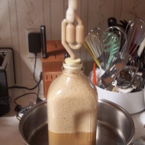 Yeast starter gone wild