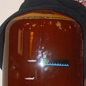 PumpkinAle