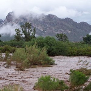 CanyonDelOroWash-Tucson