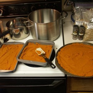 4545-pumpkinale-pumpkin